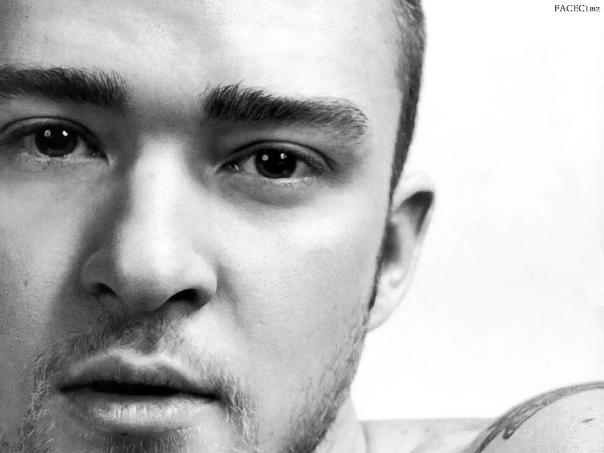 Justin Timberlake, Buzia